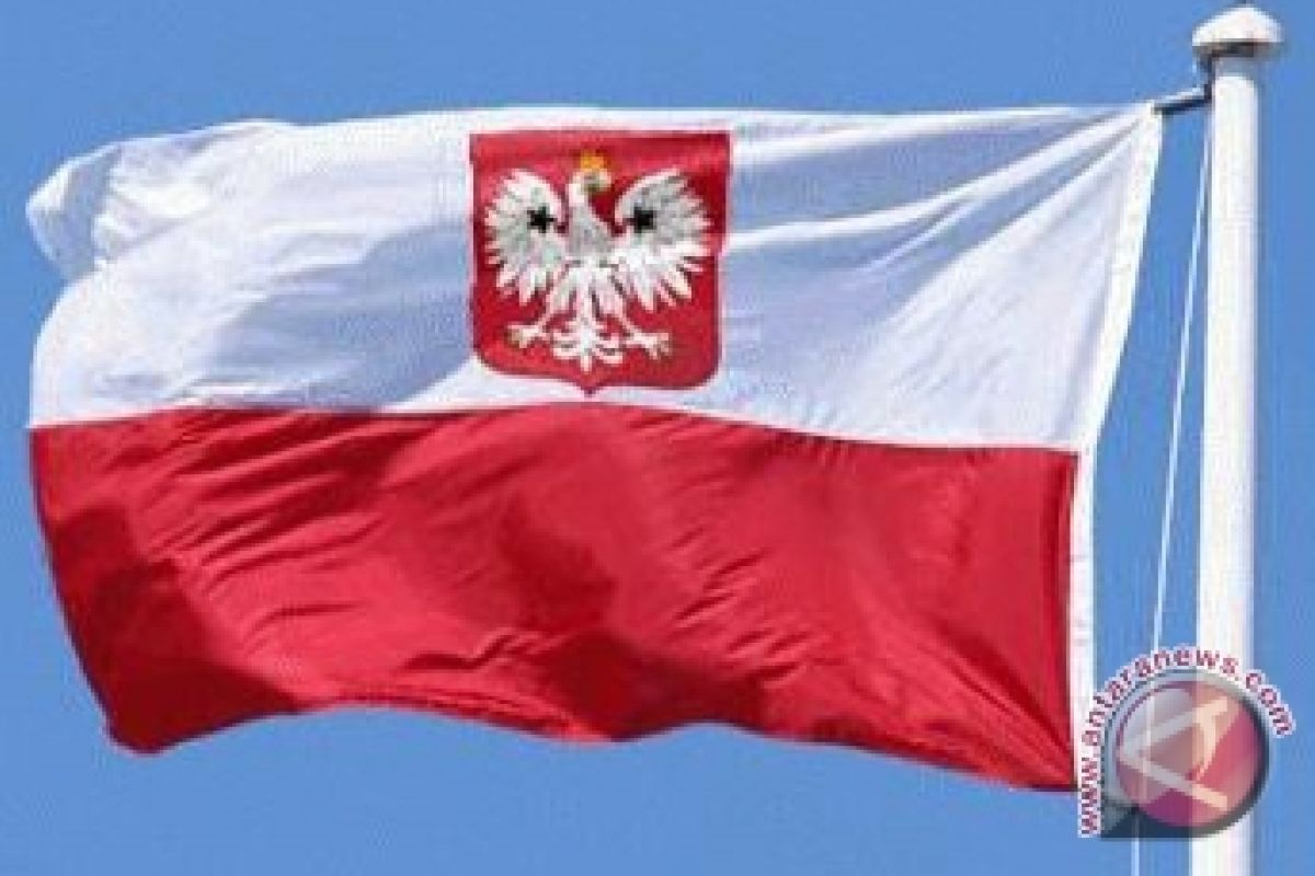 20120609polandia-flag