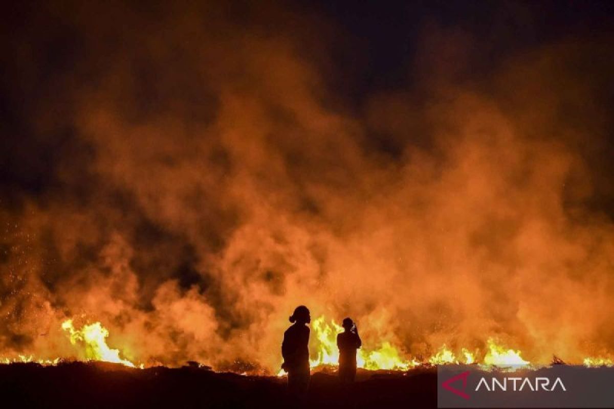 Kebakaran-lahan-di-Kerinci-150926-ws-1_1