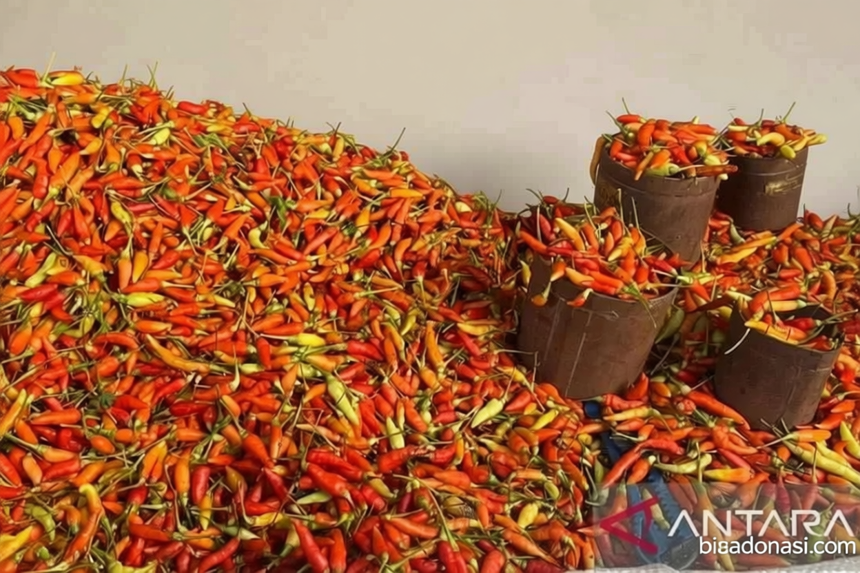 Kebijakan Baru: PIHPS: Harga cabai rawit merah Rp83.150/kg, daging ayam Rp44.000/kg
