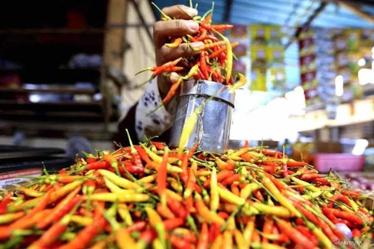 Kebijakan Baru: Sabtu, harga cabai rawit merah Rp83.100/kg, telur ayam Rp32.550/kg
