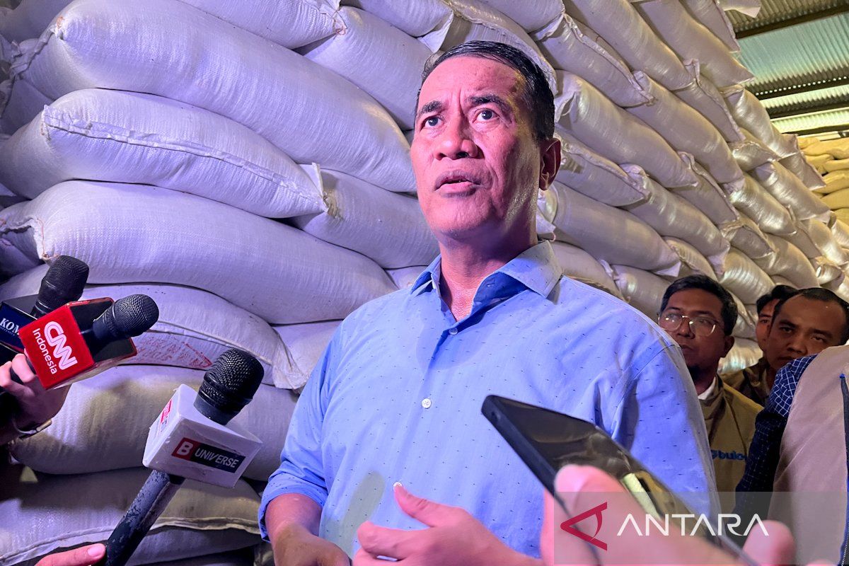 Strategi Penting: Pemerintah tetapkan HPP gabah petani bertahan Rp6.500 per kilogram