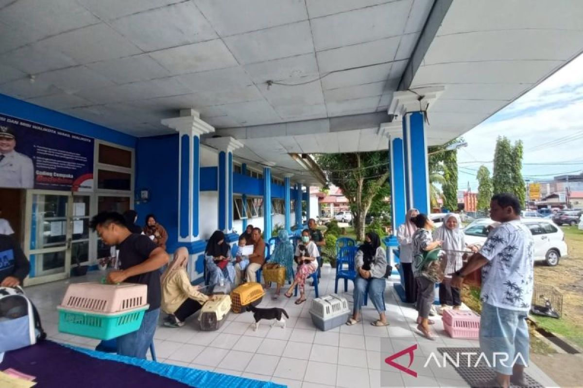 Strategi Penting: Pemprov Bengkulu salurkan 2.000 dosis vaksin rabies