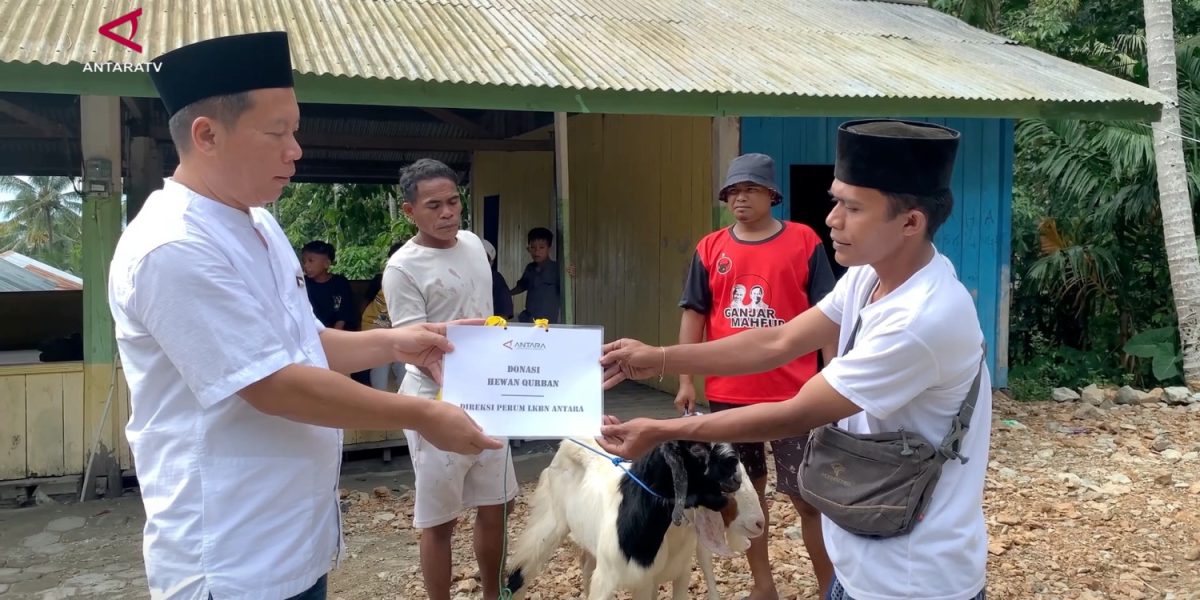 SANS_ANTARA-SALURKAN-HEWAN-KURBAN-BAGI-MASYARAKAT-ADAT-SELENA-DI-PALU