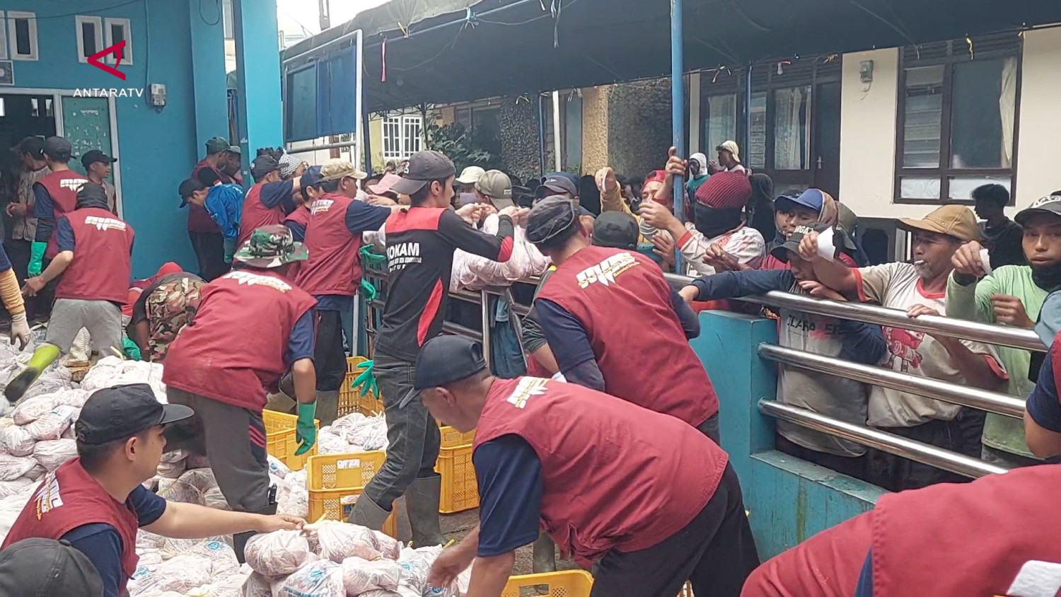Semangat berkurban warga Batur terus mengalir – tembus ratusan kurban
