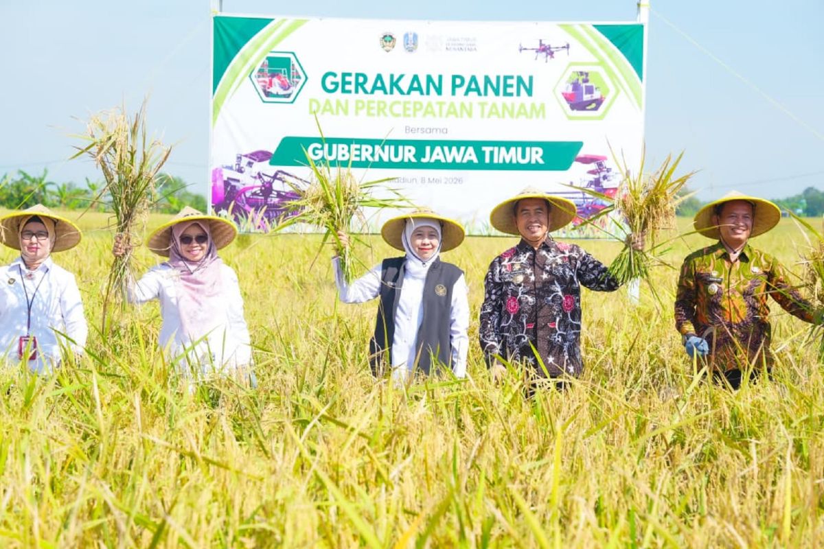 Special Plan: Pemprov Jatim targetkan produksi padi naik hingga 5 persen pada 2026