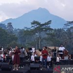 14festival-suar