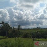 IMG_20250415_110015
