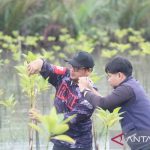 IMG_20260601_223037