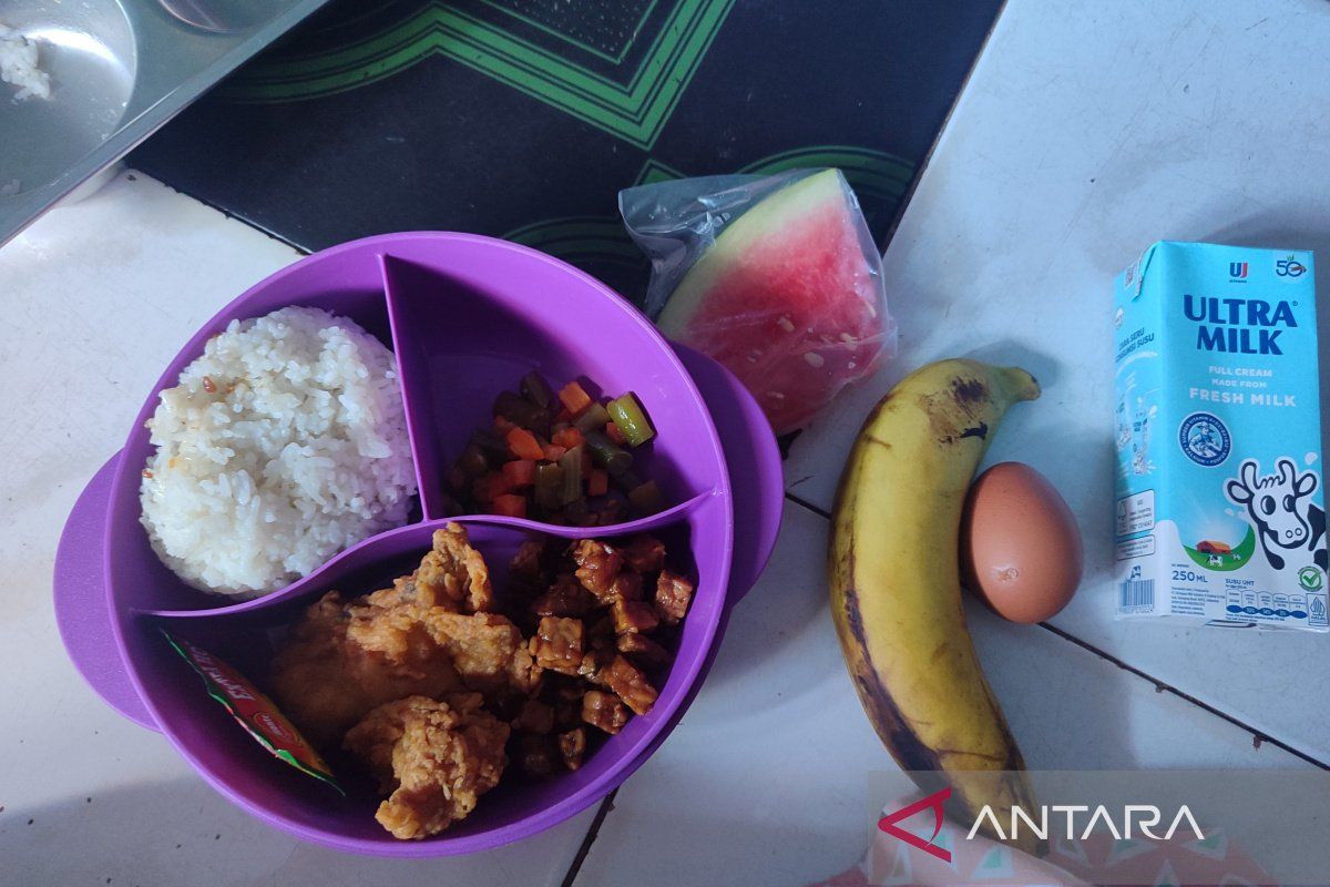 Special Plan: Kemenkeu catat 348.071 warga di Bengkulu manfaatkan program MBG