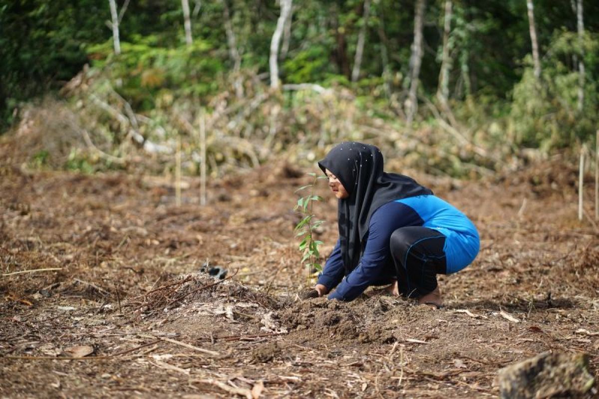 Key Discussion: Pemerintah, KI dan SRI dukung restorasi oleh masyarakat di Batang Toru