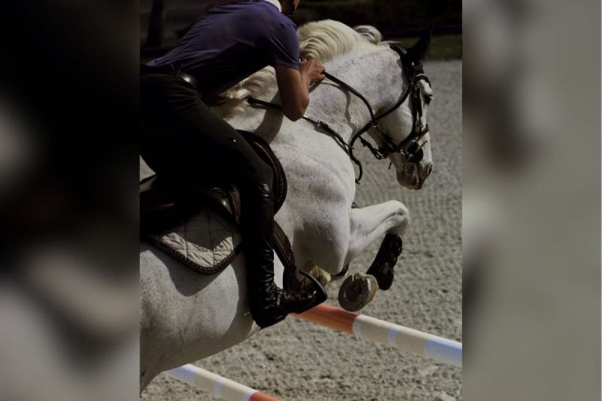 Topics Covered: Premier Jumping League (PJL) & McCarthy Jumping Team Umumkan Akuisisi Bersejarah