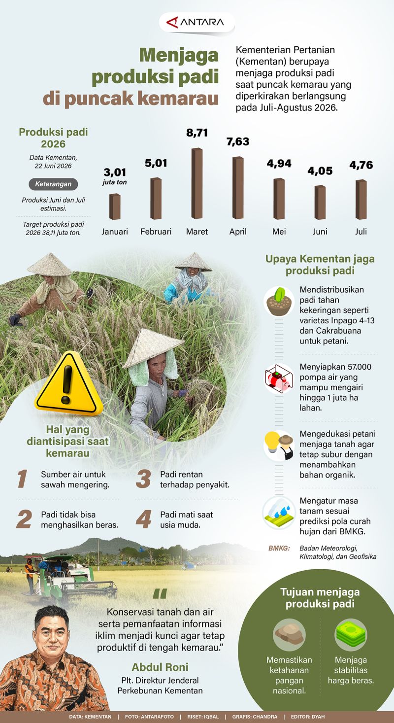What You Need to Know: Menjaga produksi padi di puncak kemarau