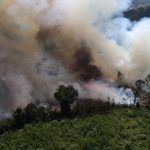 Kebakaran-Hutan-Dan-Lahan-Gambut-Di-Kalbar-310726-jw-4