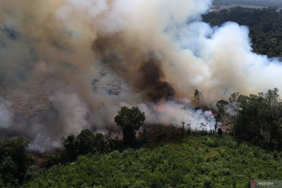 Kebakaran hutan dan lahan gambut di Kalbar