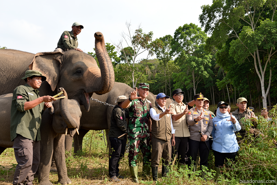 IUCN apresiasi kebijakan Menhut perkuat konservasi gajah di Indonesia