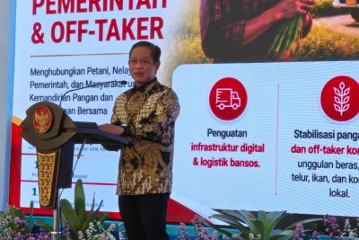 Wamenko Pangan dorong sinergi pusat-daerah percepat KDKMP