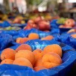 PRANCIS-PERKETAT-PEMERIKSAAN-PRODUK-TANI-LAWAN-PRAKTIK-FRANCIZATION