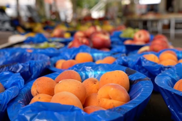 PRANCIS-PERKETAT-PEMERIKSAAN-PRODUK-TANI-LAWAN-PRAKTIK-FRANCIZATION