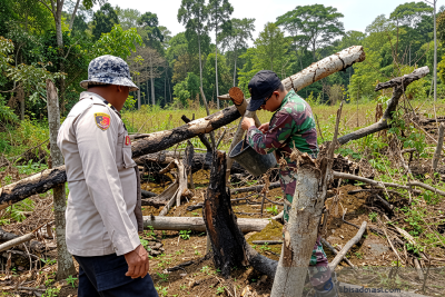 Polda Kaltim tangani 34 perkara karhutla, sembilan jadi tersangka