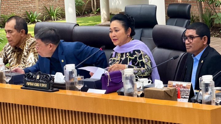 Komisi IV DPR apresiasi keberhasilan swasembada 8 komoditas pangan
