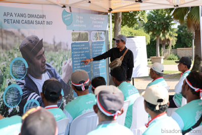 Syngenta luncurkan inovasi atasi serangan “thrips” pada cabai